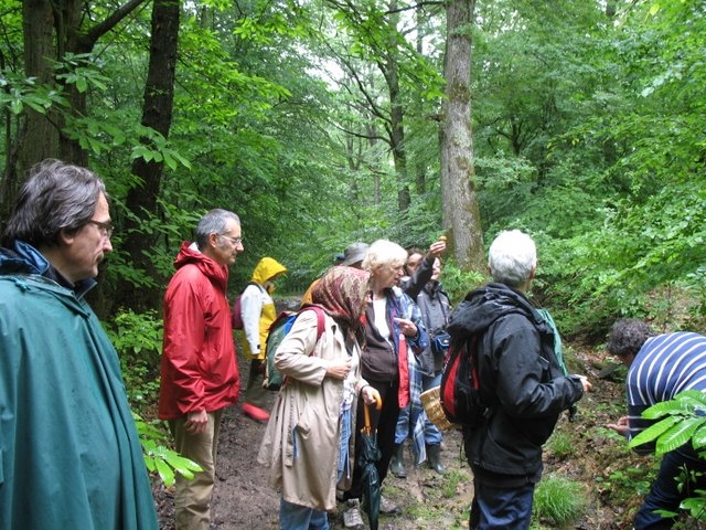 2007 05 Myco porte Baudet 06